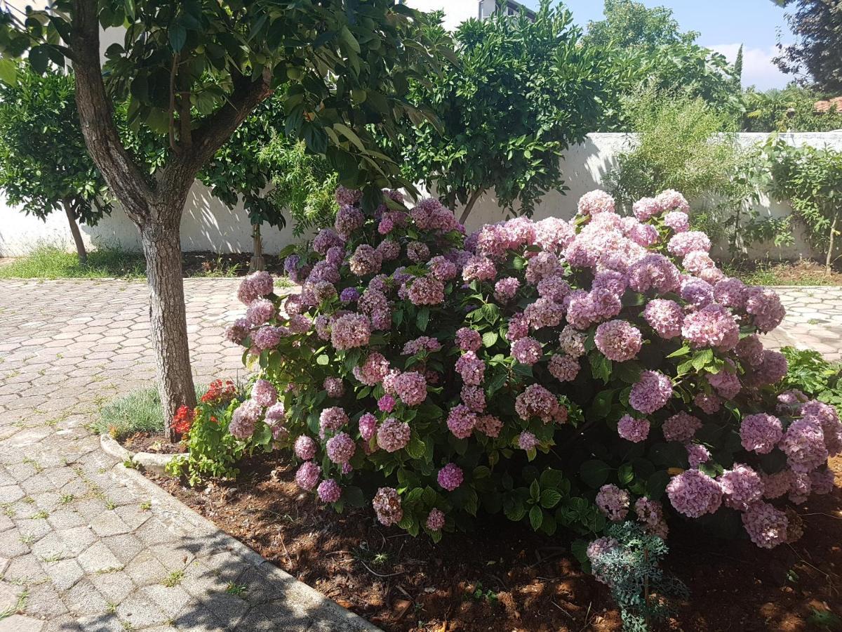 Siesta Poreč